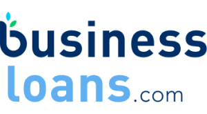 BusinessLoans.com